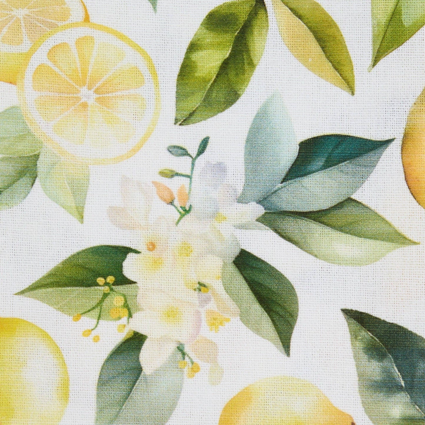 Lemon Grove Dishtowel Set of 2