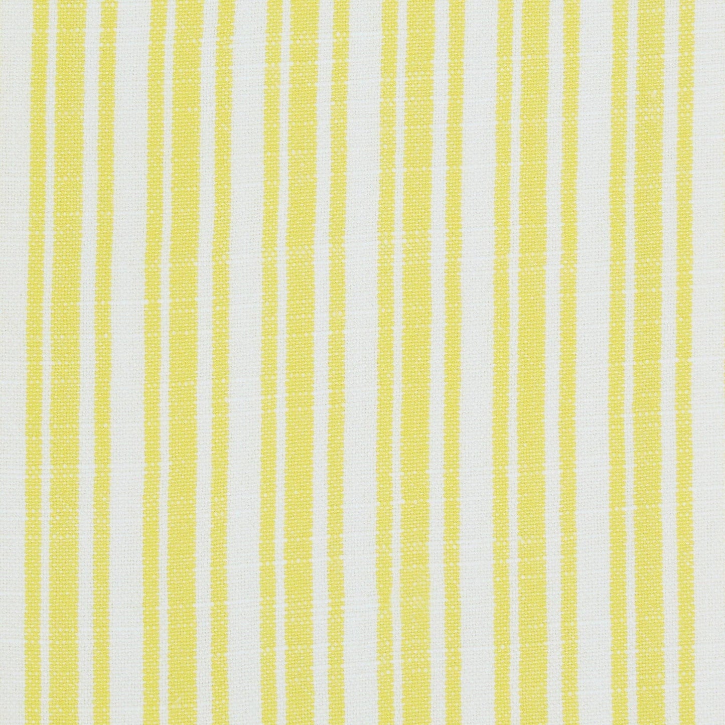 Lemon Grove Dishtowel Set of 2